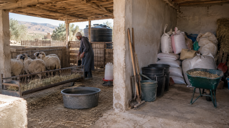 تجهيزات مشروع تربية صغير بجانب مواد التشغيل اليومية لتوضيح الفرق بين مصاريف البداية ومصاريف التشغيل
